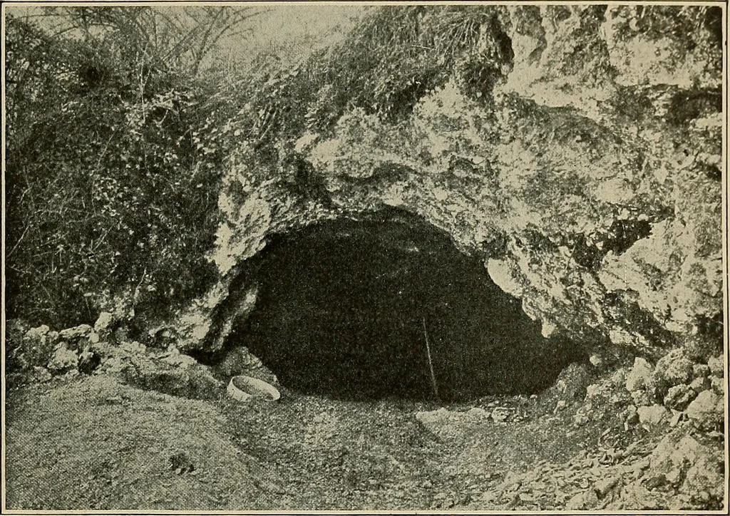 An illustration from Men of the old stone age, their environment, life and art, 1918, leaf 266