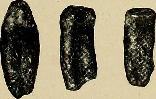An illustration from Men of the old stone age, their environment, life and art, 1918, leaf 268