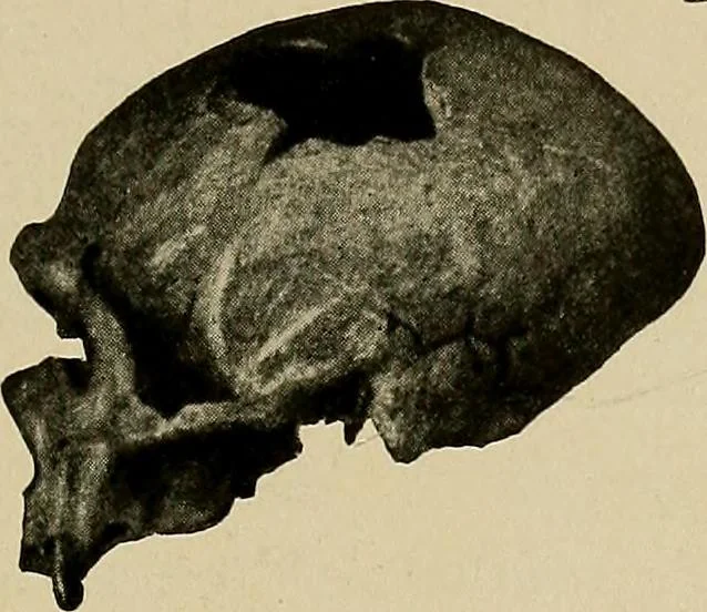 An illustration from Men of the old stone age, their environment, life and art, 1918, leaf 270