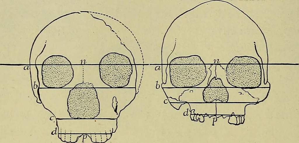 An illustration from Men of the old stone age, their environment, life and art, 1918, leaf 271