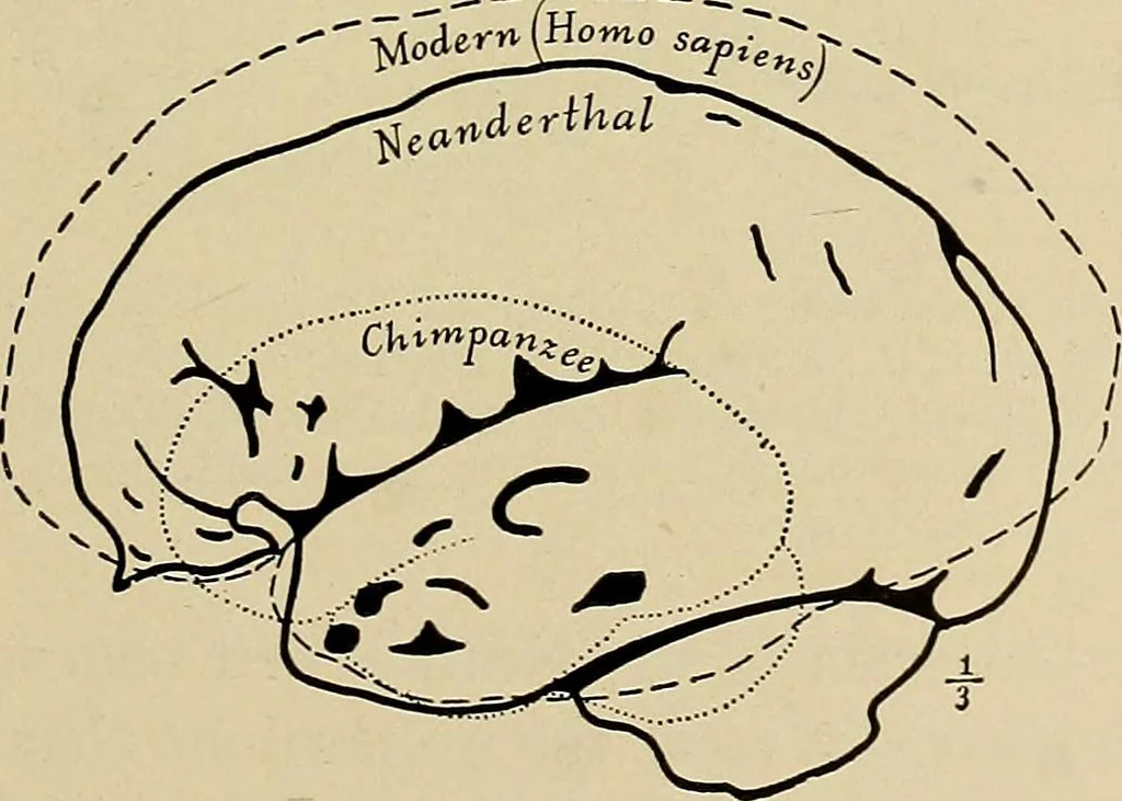 An illustration from Men of the old stone age, their environment, life and art, 1918, leaf 278