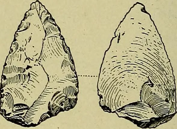 An illustration from Men of the old stone age, their environment, life and art, 1918, leaf 293