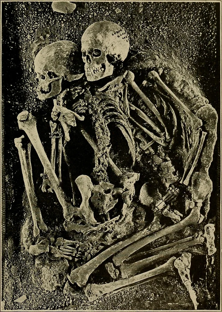 An illustration from Men of the old stone age, their environment, life and art, 1918, leaf 310