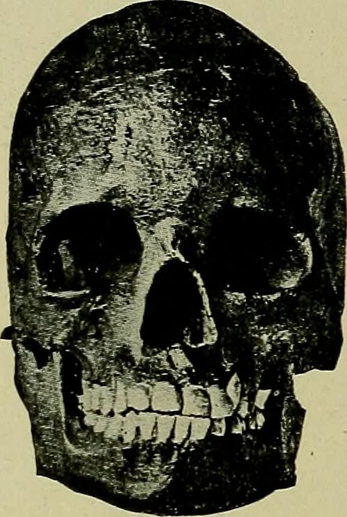 An illustration from Men of the old stone age, their environment, life and art, 1918, leaf 311