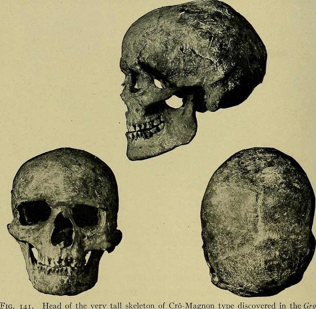 An illustration from Men of the old stone age, their environment, life and art, 1918, leaf 335