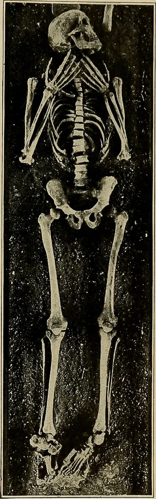 An illustration from Men of the old stone age, their environment, life and art, 1918, leaf 340