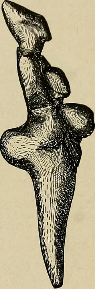 An illustration from Men of the old stone age, their environment, life and art, 1918, leaf 364