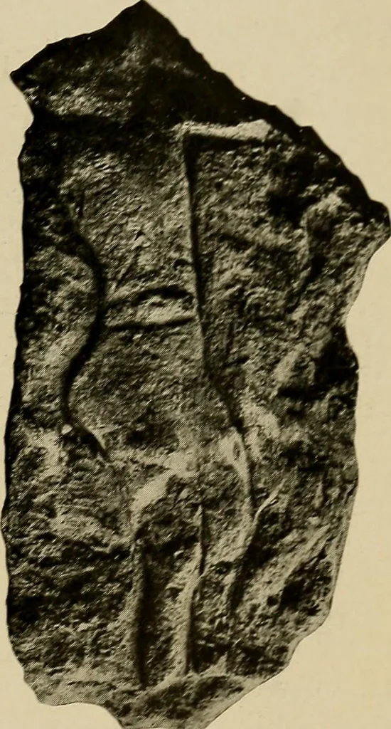 An illustration from Men of the old stone age, their environment, life and art, 1918, leaf 372