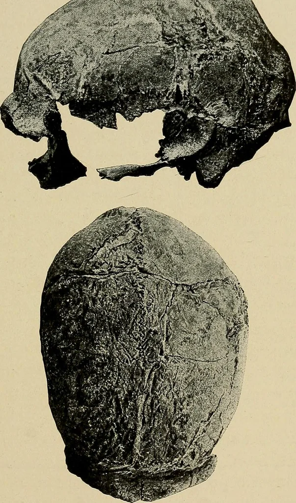 An illustration from Men of the old stone age, their environment, life and art, 1918, leaf 378