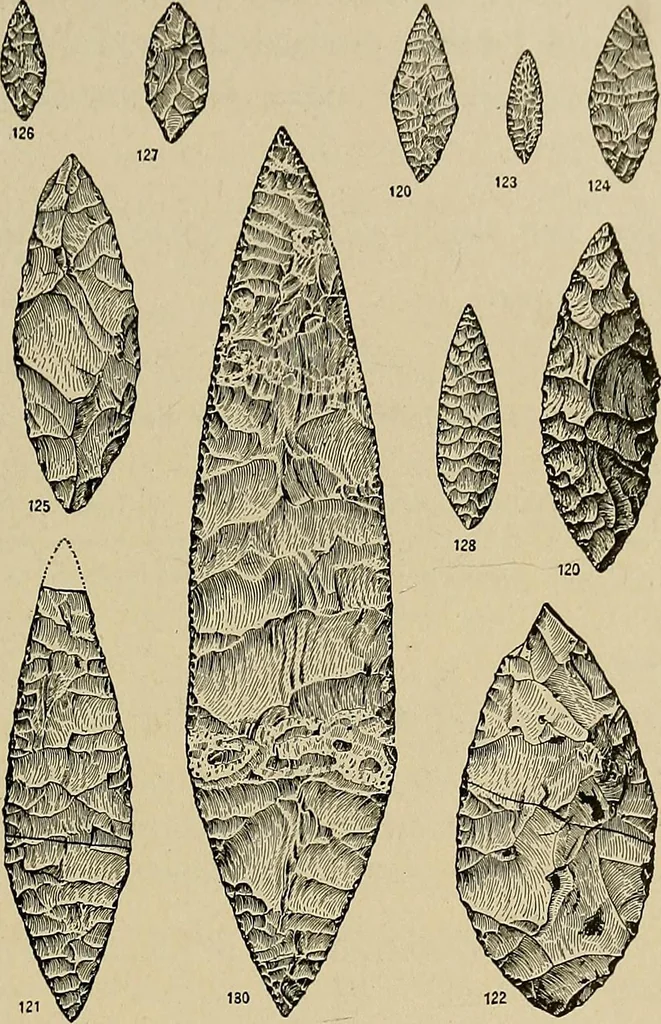 An illustration from Men of the old stone age, their environment, life and art, 1918, leaf 382