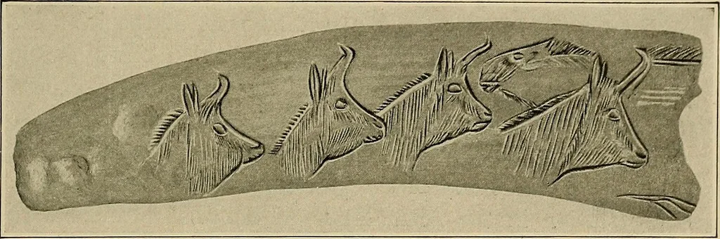 An illustration from Men of the old stone age, their environment, life and art, 1918, leaf 414