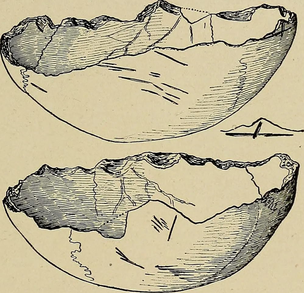 An illustration from Men of the old stone age, their environment, life and art, 1918, leaf 424