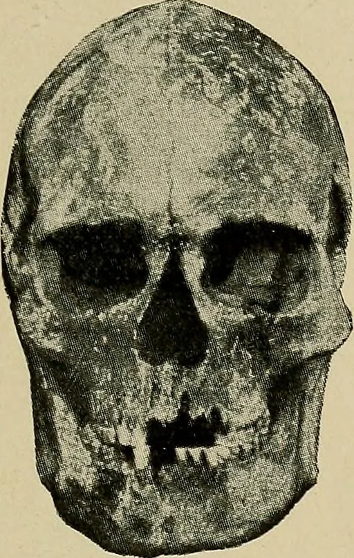 An illustration from Men of the old stone age, their environment, life and art, 1918, leaf 426