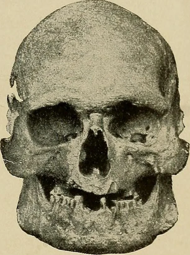 An illustration from Men of the old stone age, their environment, life and art, 1918, leaf 426