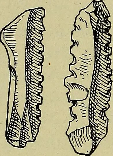 An illustration from Men of the old stone age, their environment, life and art, 1918, leaf 435