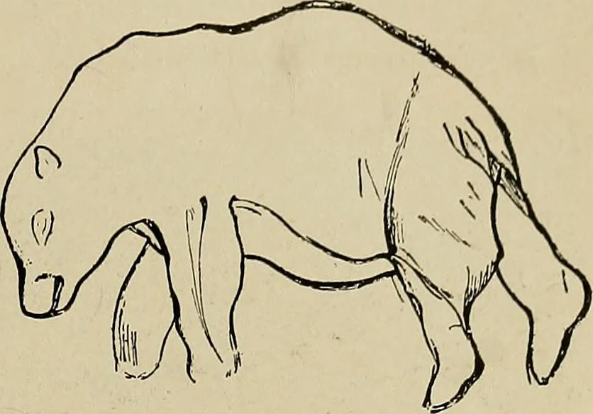 An illustration from Men of the old stone age, their environment, life and art, 1918, leaf 446