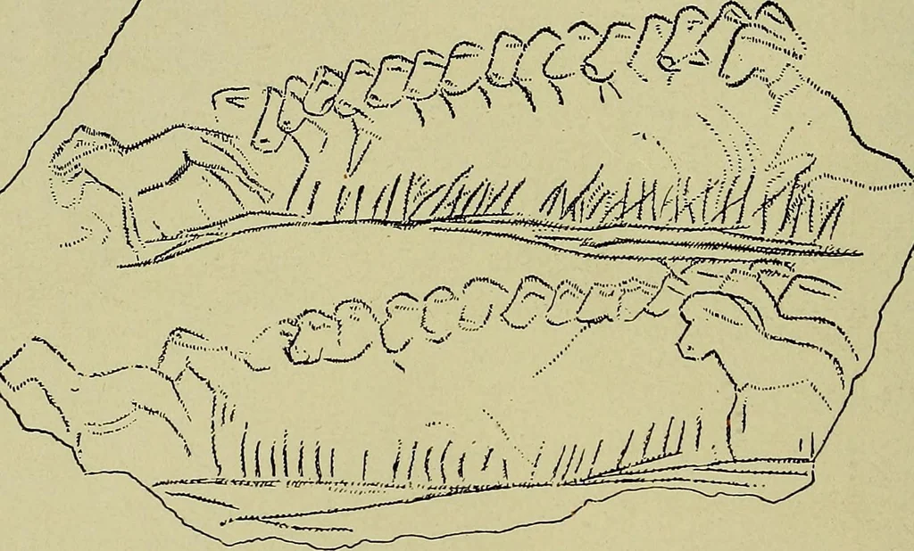 An illustration from Men of the old stone age, their environment, life and art, 1918, leaf 449