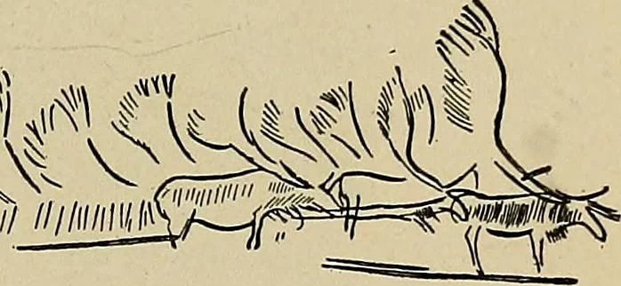 An illustration from Men of the old stone age, their environment, life and art, 1918, leaf 450