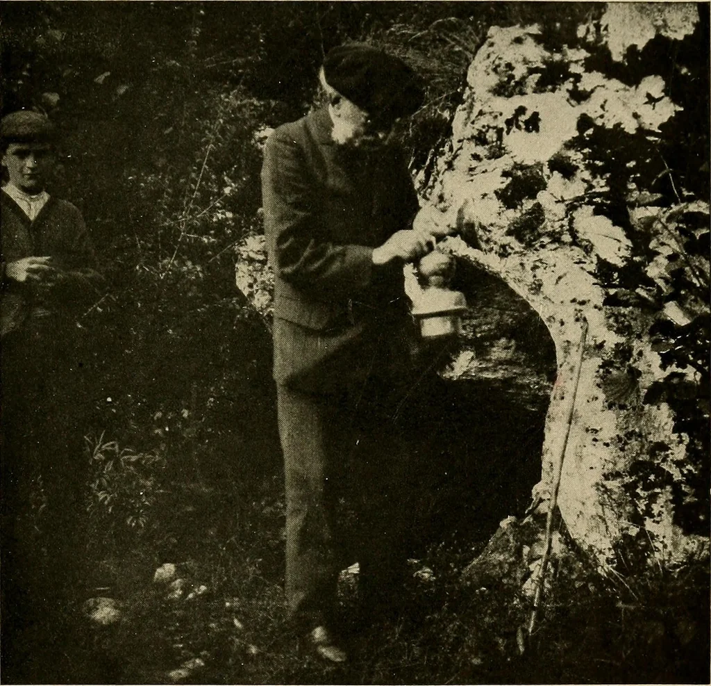 An illustration from Men of the old stone age, their environment, life and art, 1918, leaf 456