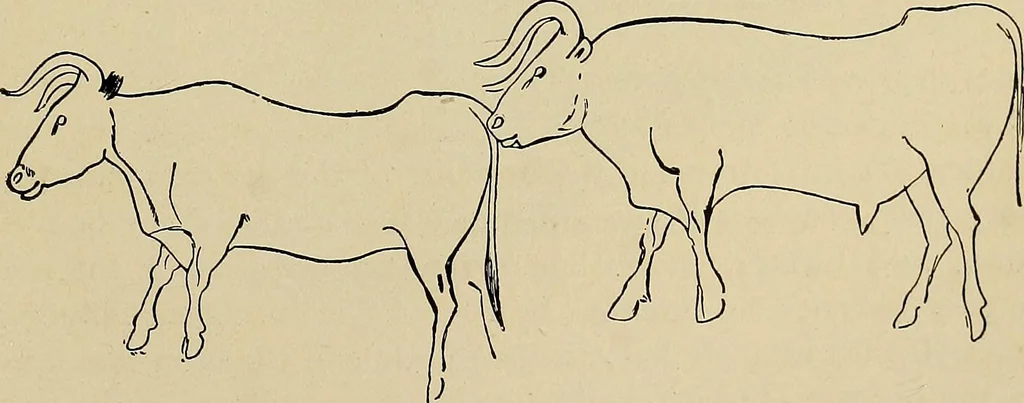 An illustration from Men of the old stone age, their environment, life and art, 1918, leaf 458