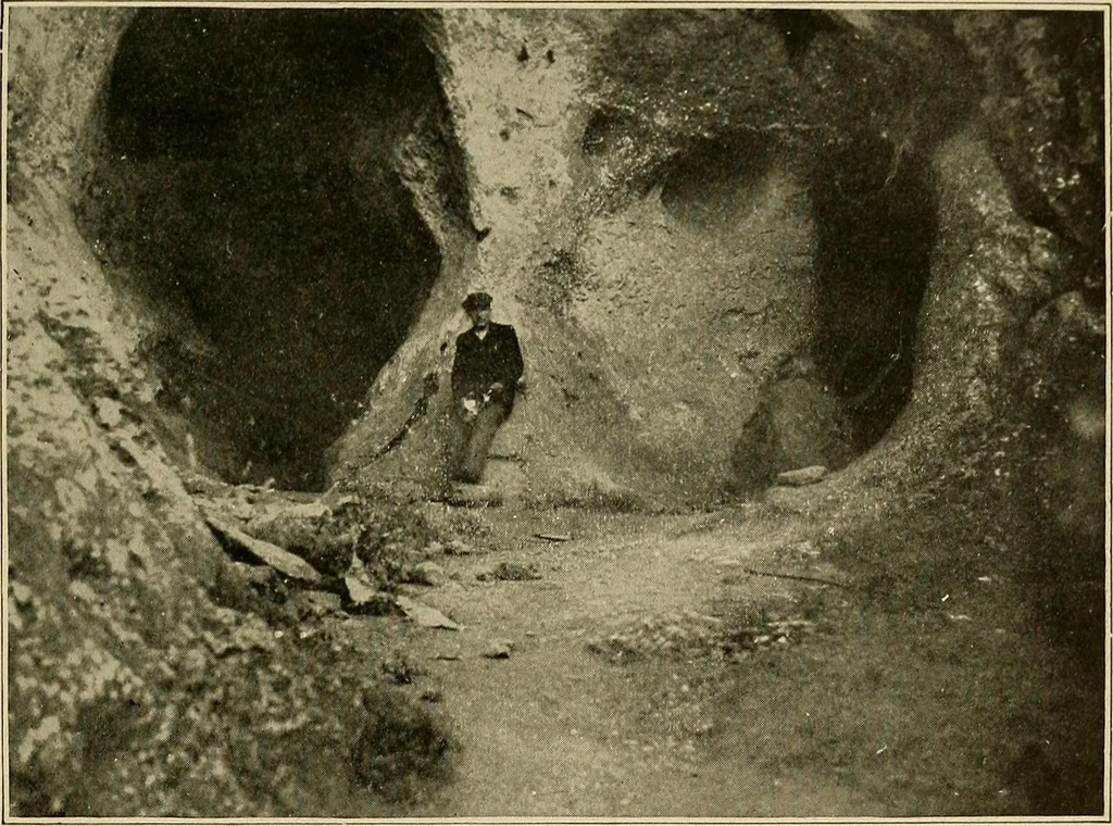 An illustration from Men of the old stone age, their environment, life and art, 1918, leaf 462
