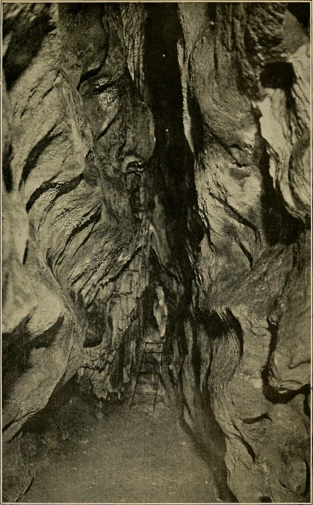 An illustration from Men of the old stone age, their environment, life and art, 1918, leaf 464