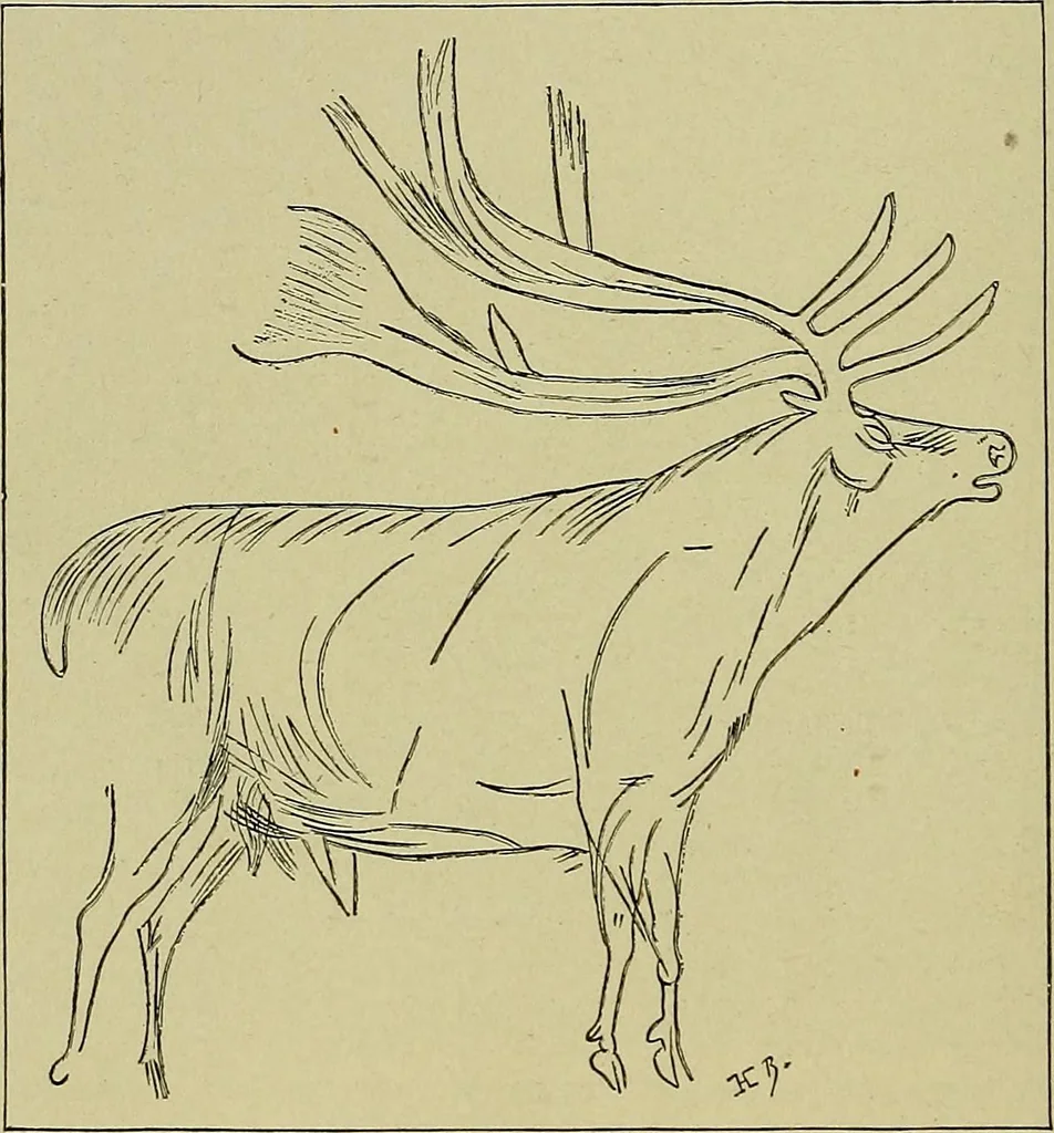 An illustration from Men of the old stone age, their environment, life and art, 1918, leaf 473