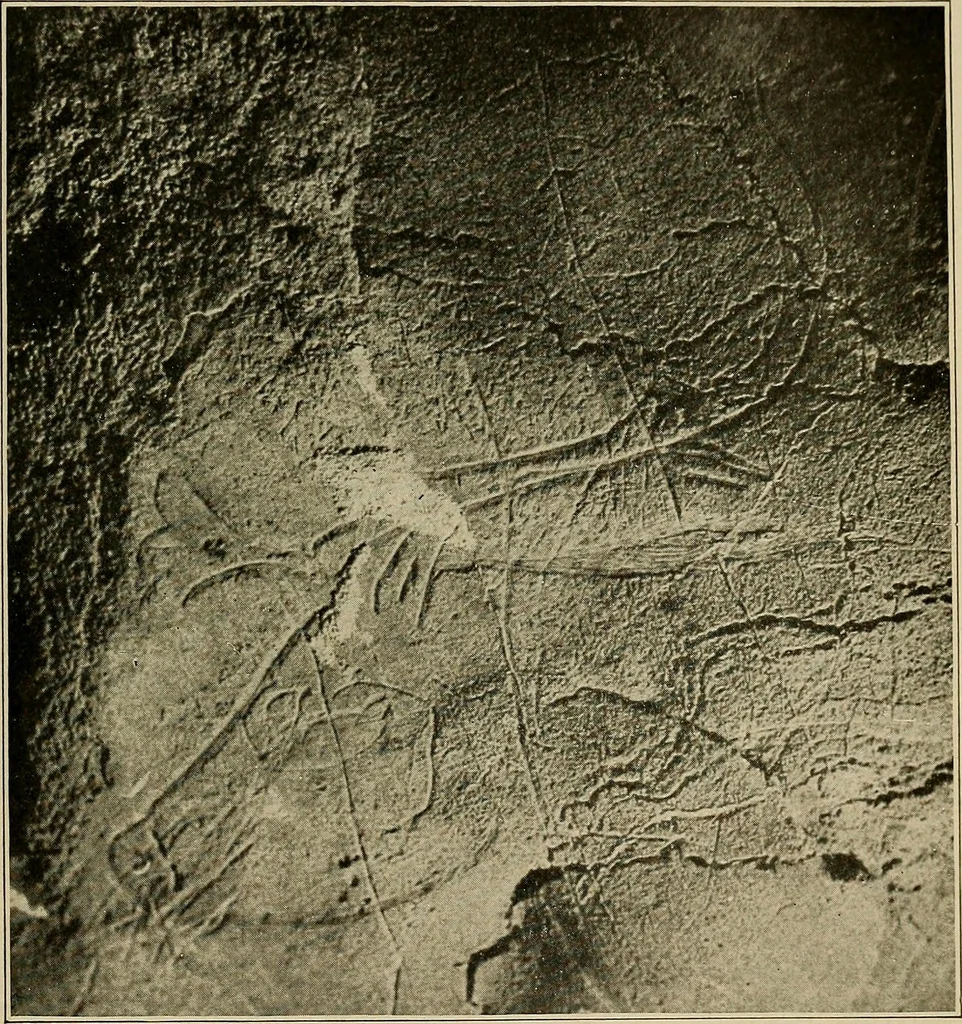 An illustration from Men of the old stone age, their environment, life and art, 1918, leaf 476