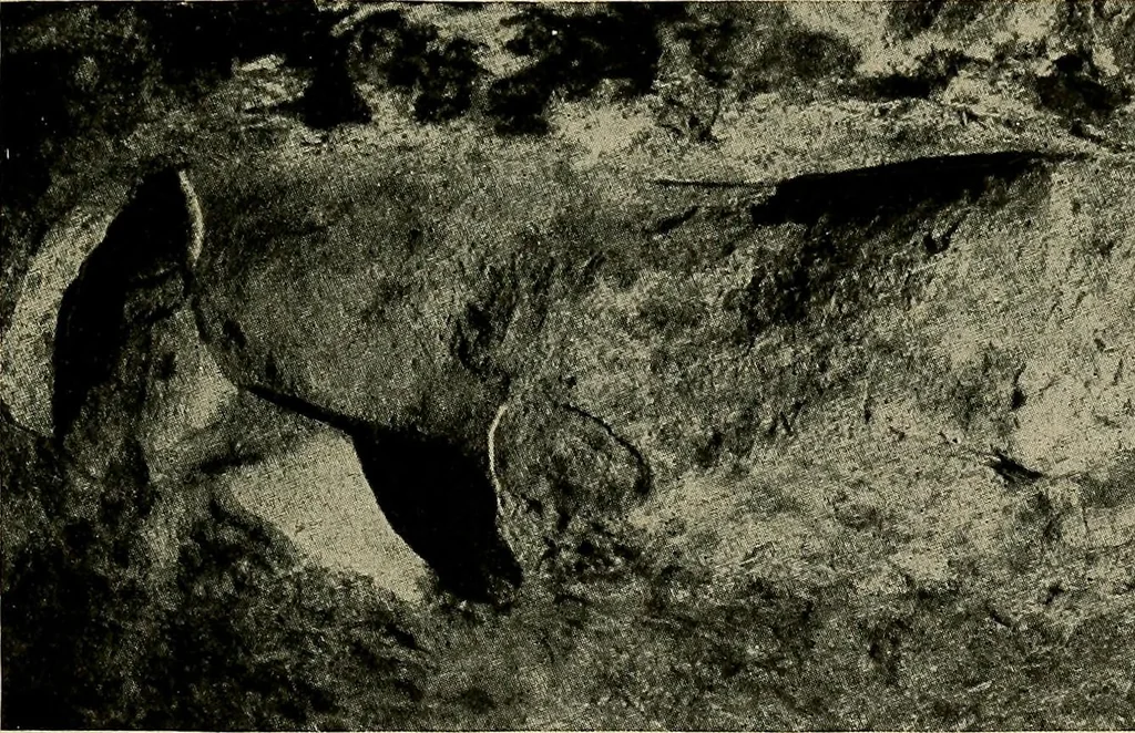 An illustration from Men of the old stone age, their environment, life and art, 1918, leaf 478