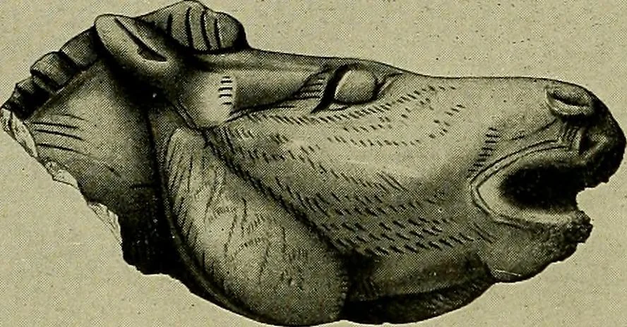 An illustration from Men of the old stone age, their environment, life and art, 1918, leaf 479