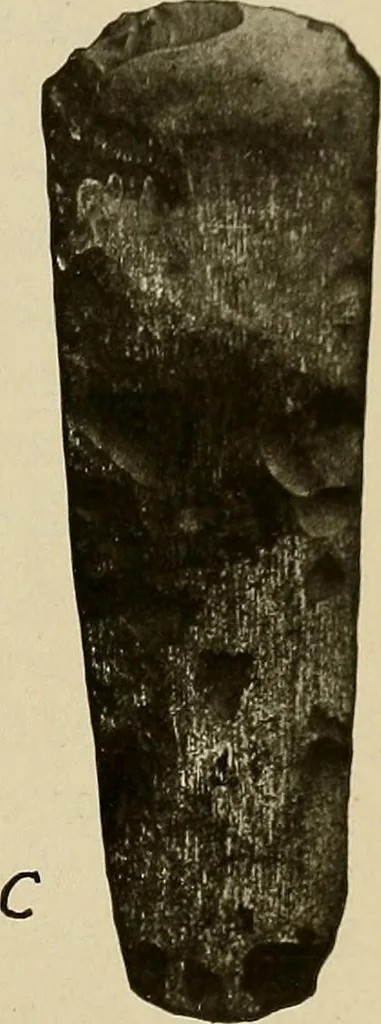 An illustration from Men of the old stone age, their environment, life and art, 1918, leaf 52