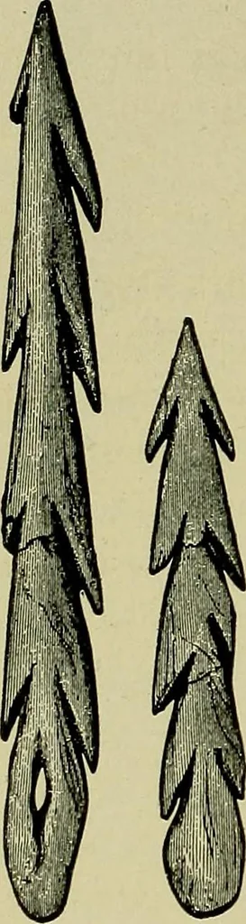 An illustration from Men of the old stone age, their environment, life and art, 1918, leaf 521