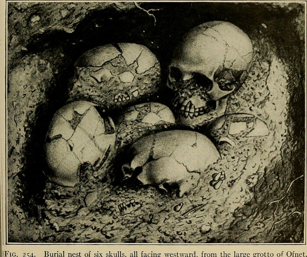 An illustration from Men of the old stone age, their environment, life and art, 1918, leaf 524