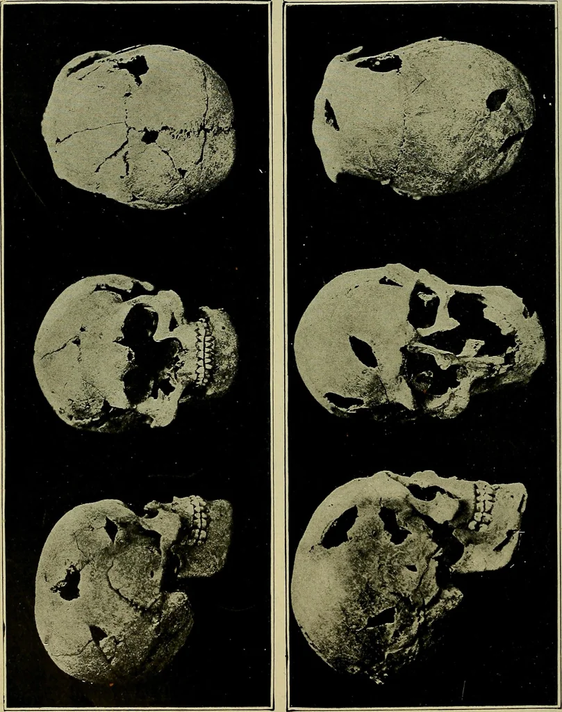 An illustration from Men of the old stone age, their environment, life and art, 1918, leaf 525