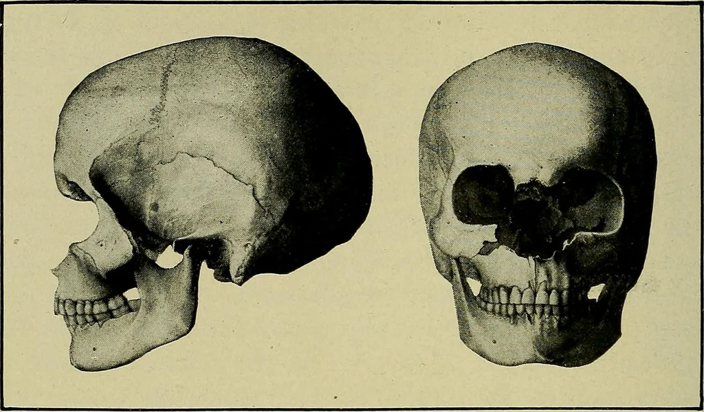 An illustration from Men of the old stone age, their environment, life and art, 1918, leaf 529