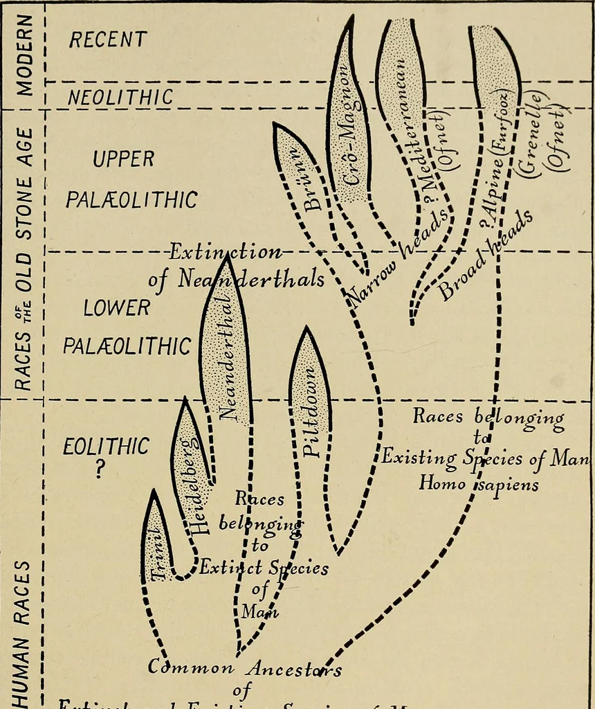 An illustration from Men of the old stone age, their environment, life and art, 1918, leaf 538