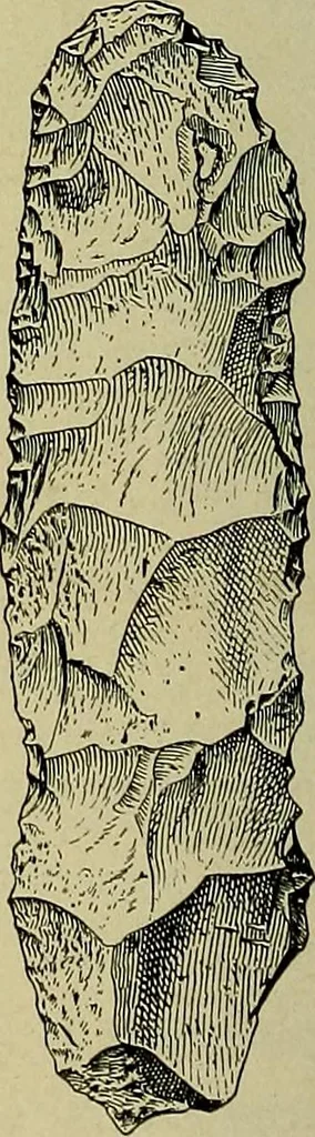 An illustration from Men of the old stone age, their environment, life and art, 1918, leaf 541