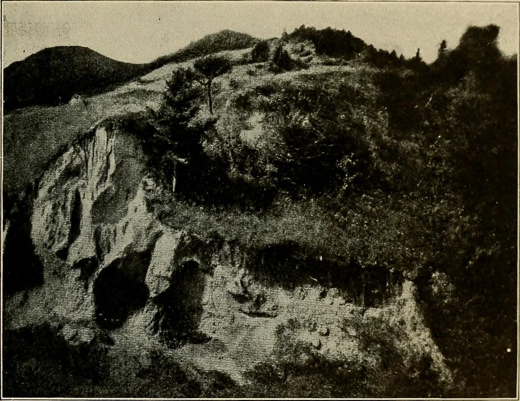 An illustration from Men of the old stone age, their environment, life and art, 1918, leaf 72