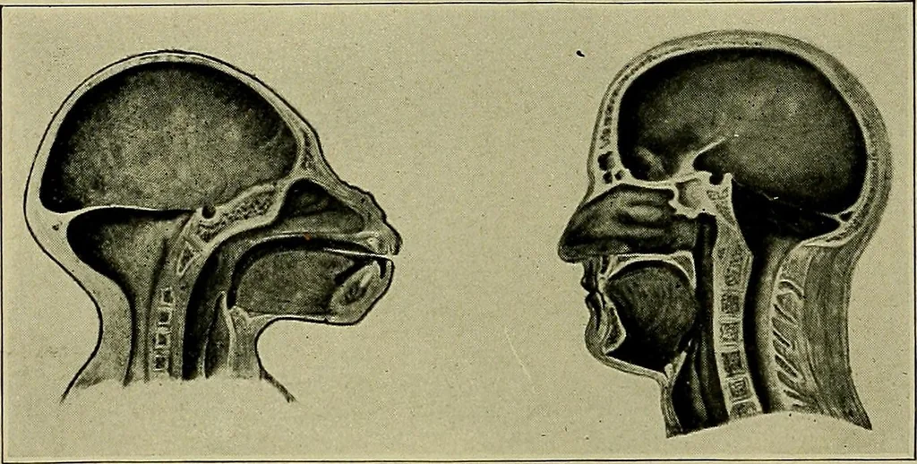 An illustration from Men of the old stone age, their environment, life and art, 1918, leaf 99
