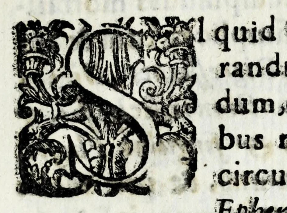 An illustration from Menologiae Iovis compendivm, sev, Ephemerides medicaeorvm ad Ferdinandvm bis Magnvm, Hetrvriae dvcem, 1656, leaf 17