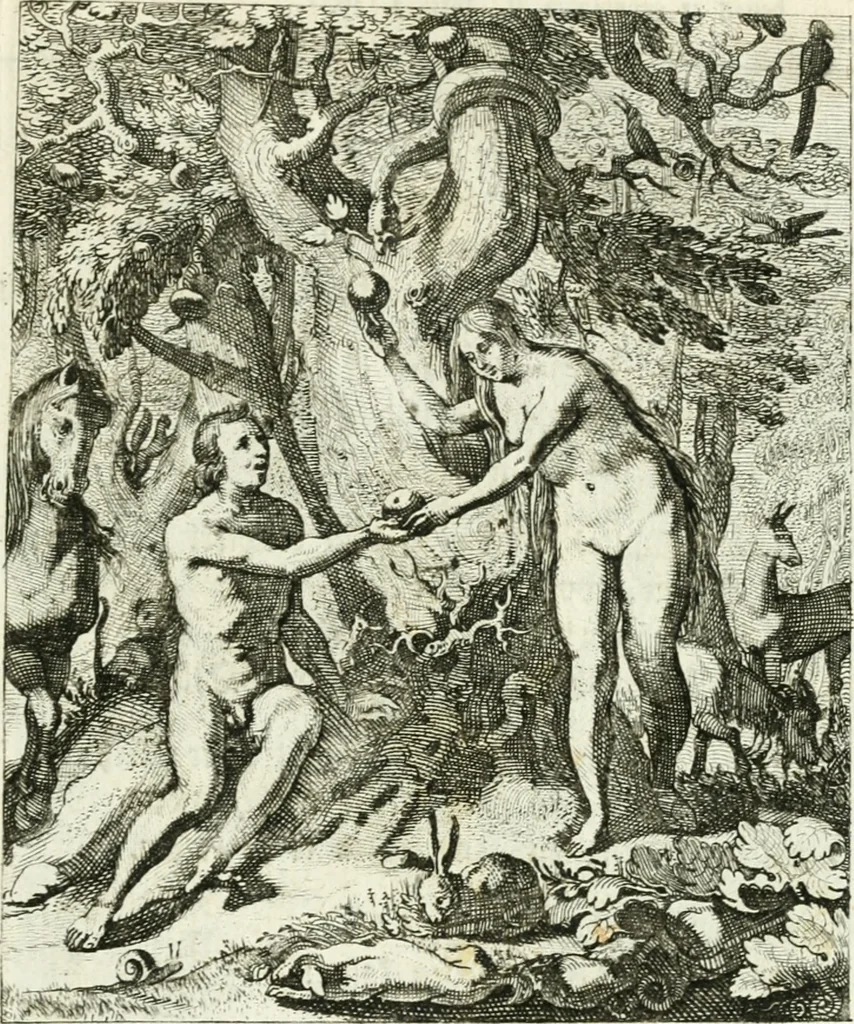 An illustration from Die menschliche Sterblichkeit unter dem Titel Todten-Tanz, in LXI. Original-Kupfern, 1759, leaf 28