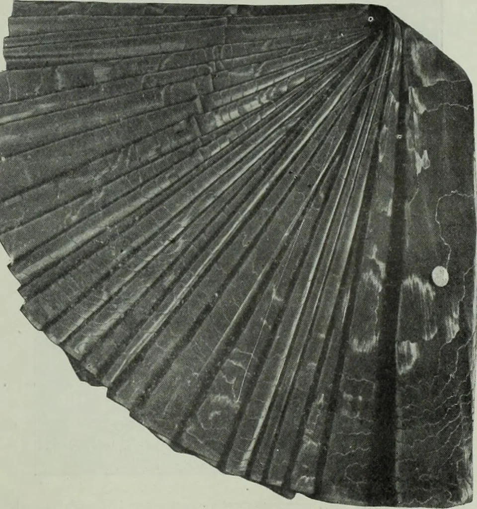 An illustration from Men's wear of Canada (April-December 1911), 1911, leaf 102