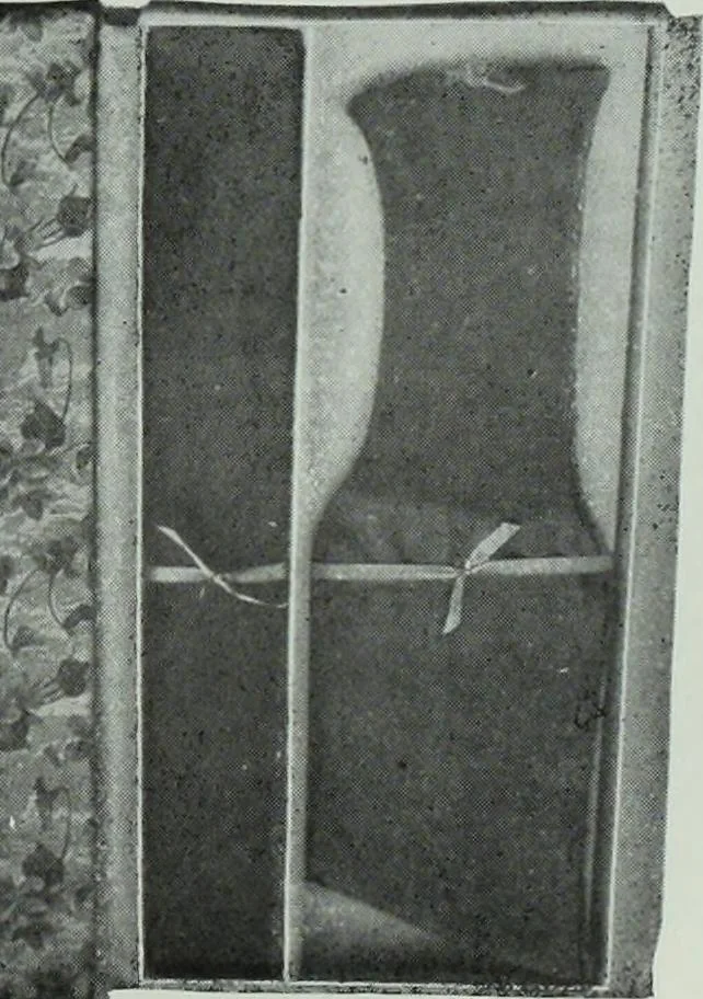An illustration from Men's wear of Canada (April-December 1911), 1911, leaf 268