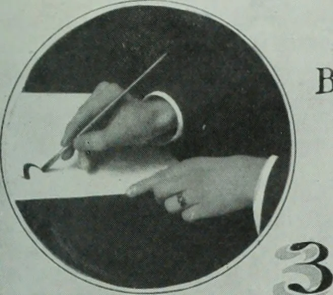 An illustration from Men's wear of Canada (April-December 1911), 1911, leaf 282