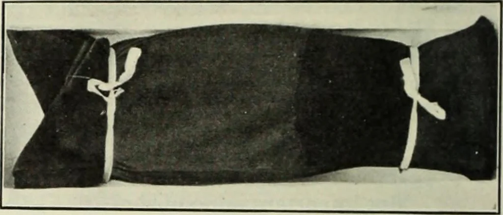 An illustration from Men's wear of Canada (April-December 1911), 1911, leaf 97