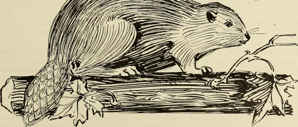 An illustration from Men's wear of Canada (January-December 1912), 1912, leaf 342