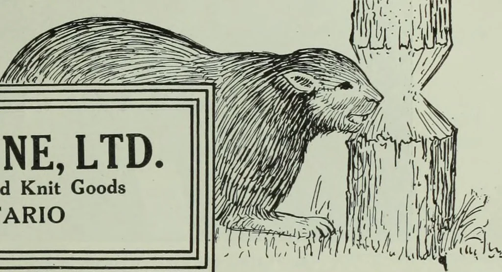 An illustration from Men's wear of Canada (January-December 1913), 1913, leaf 132