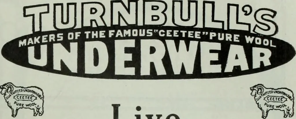 An illustration from Men's wear of Canada (January-December 1913), 1913, leaf 220