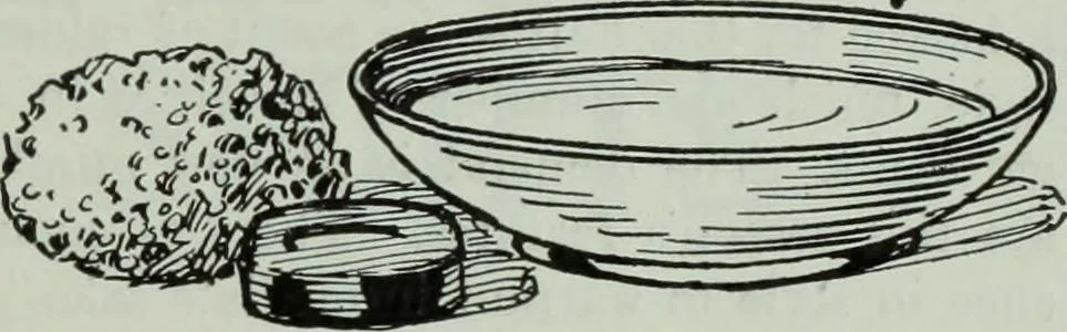 An illustration from Men's wear of Canada (January-December 1913), 1913, leaf 222