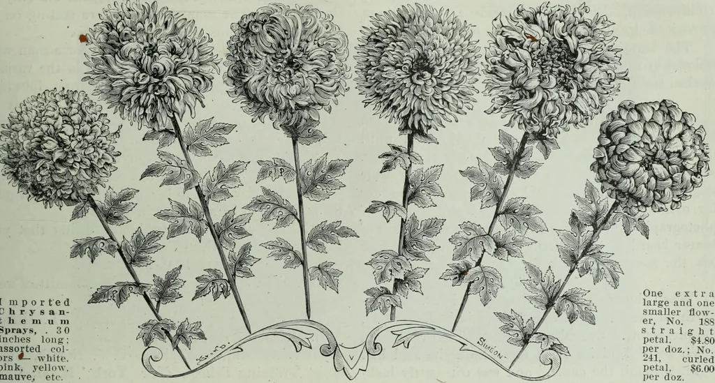 An illustration from Men's wear of Canada (January-December 1913), 1913, leaf 374